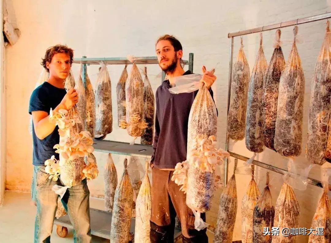 咖啡知识小课堂教程,咖啡小知识课堂