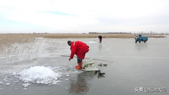 大庆双胜村新闻,双胜村锣鼓秧歌表演