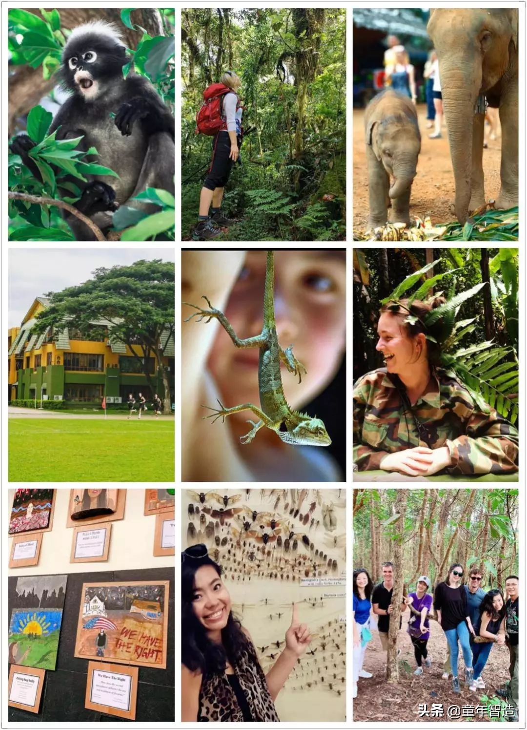 夜半*拍偷**下,成就今年第一部神级纪录片:黑暗下的生命,超乎想象