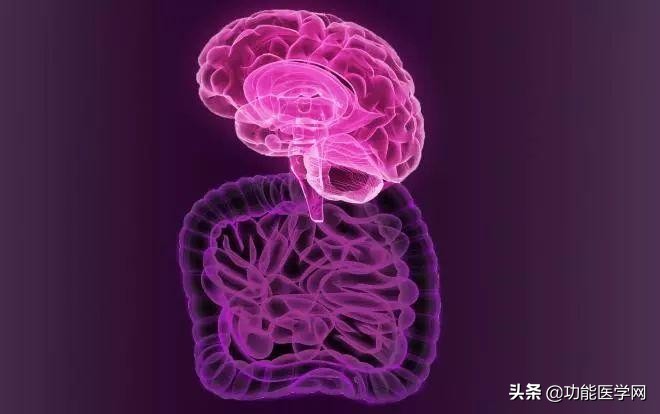 让人着迷的元素,微生物脑肠轴介绍