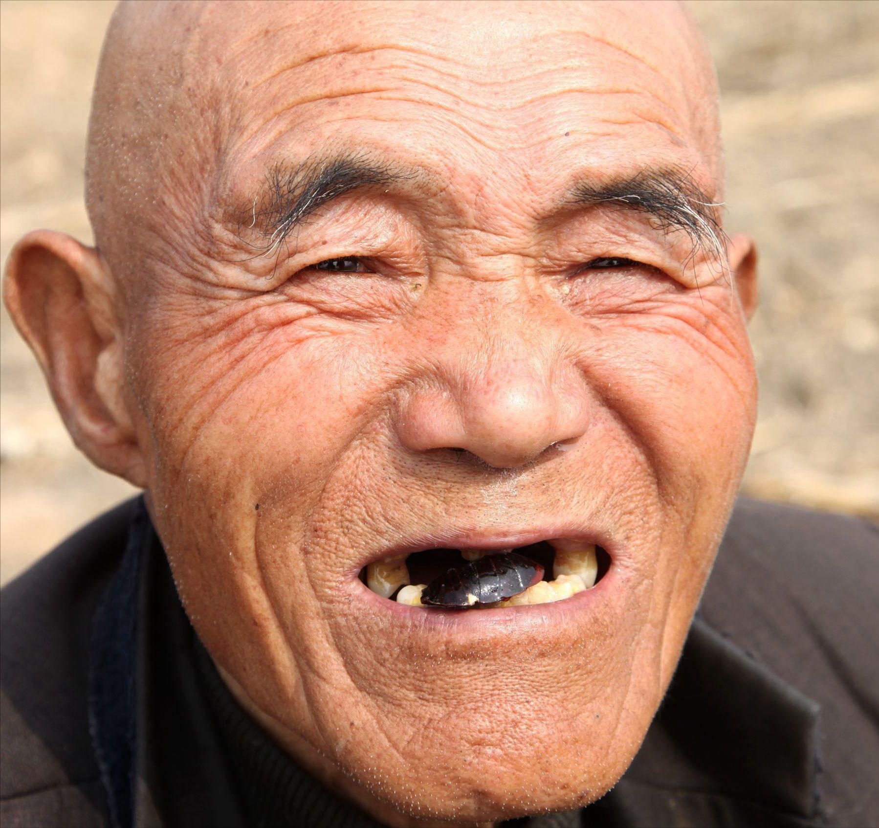 身披铠甲的土肥圆,土鳖不是形容词,而是餐桌上100一斤的美食