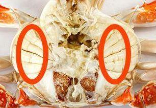 吃螃蟹禁忌那么多到底哪些是真的,吃螃蟹不要忘记哪四个部位