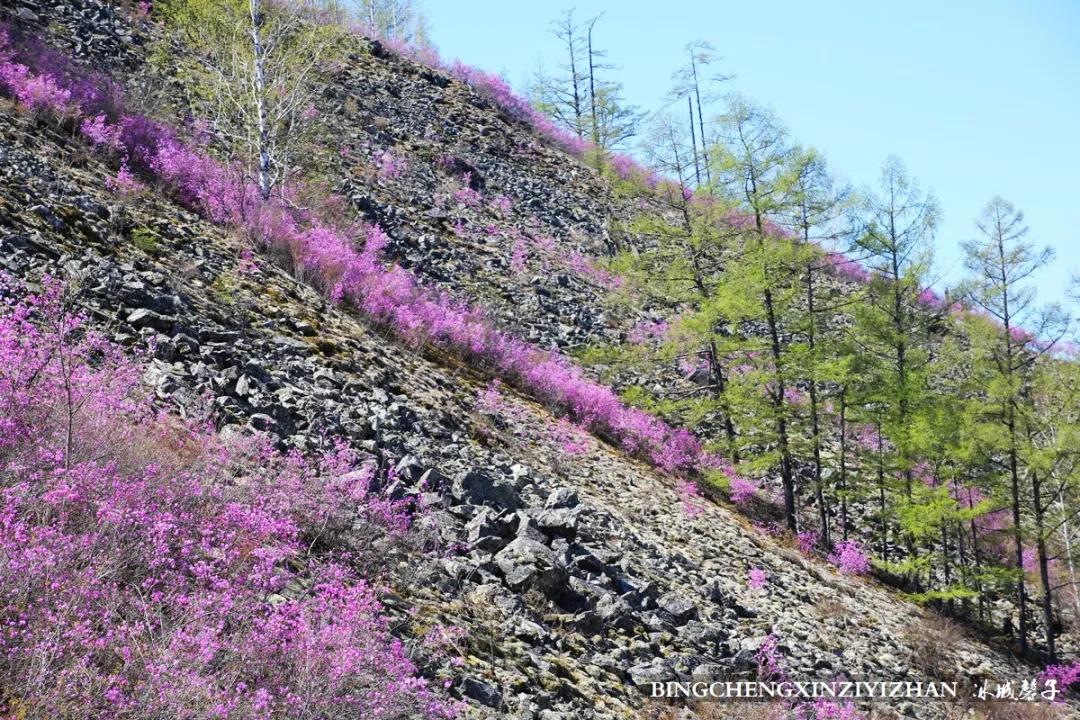 寻找中国最美的春季,探寻中国最美秘境