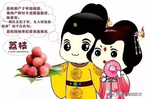 杨贵妃吃的妃子笑荔枝是哪里产的,一骑红尘妃子笑杨贵妃喜欢荔枝吗