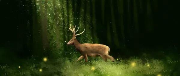 你是几月生的就代表你是什么动物,出生日期决定你是什么动物