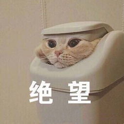 成都高温停电通知,停电公告最新信息成都