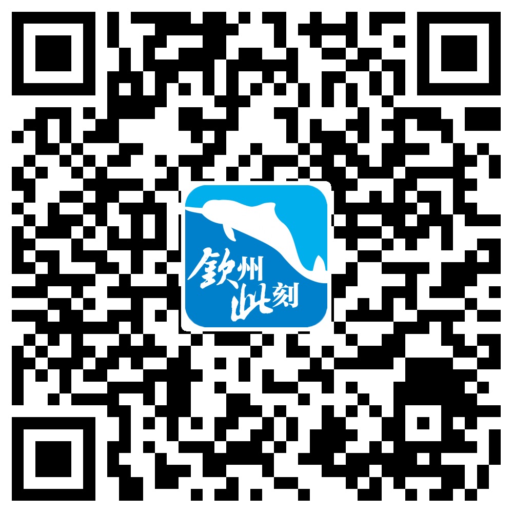 广西14城发展,2020广西之行