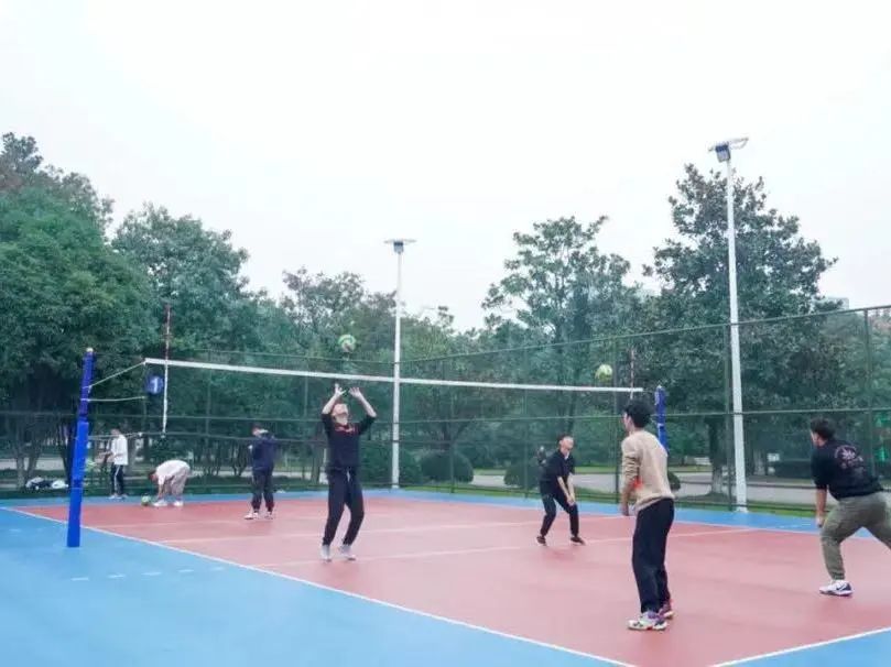 浙大城市学院出国留学,浙大城市学院2021录取分数线