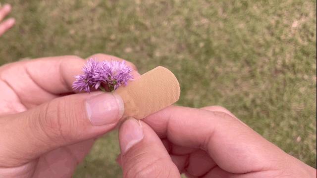 神仙道具自拍,神仙图道具