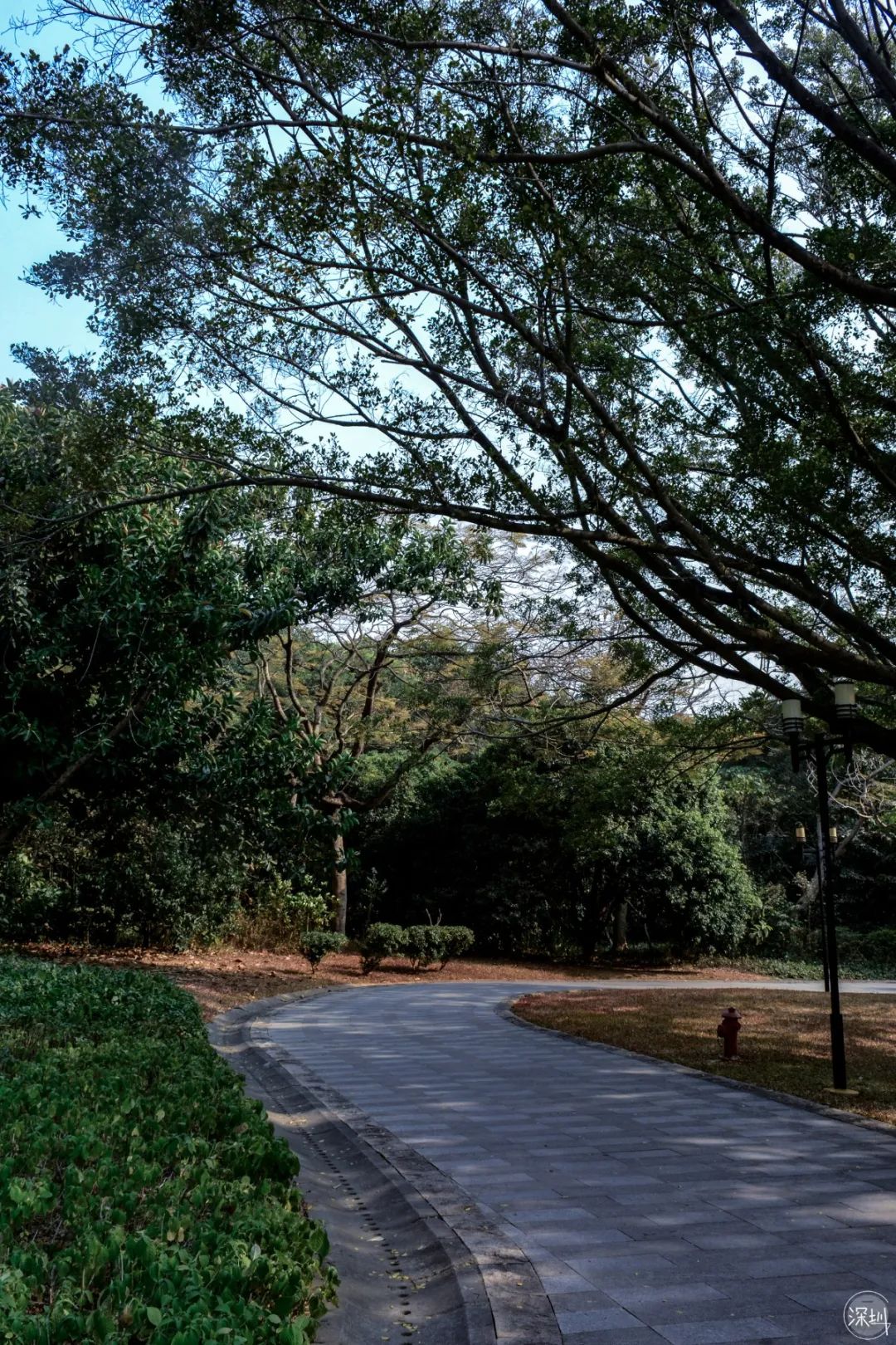 莲花山绿了没,莲花山红色景点有哪些