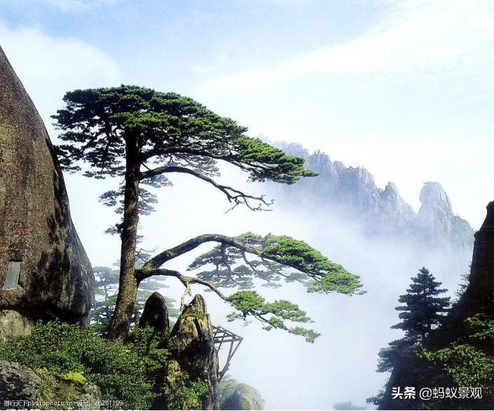 陈从周的园林作品有哪些,陈从周中国园林风格