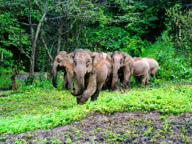 云南旅游攻略强烈建议收藏,收藏云南自驾旅游地图全集