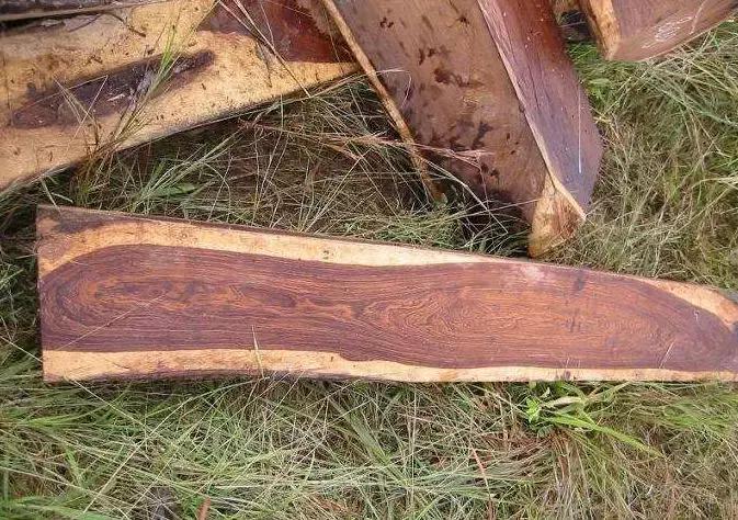 注意！非洲酸枝只是实木，不是国标红木！