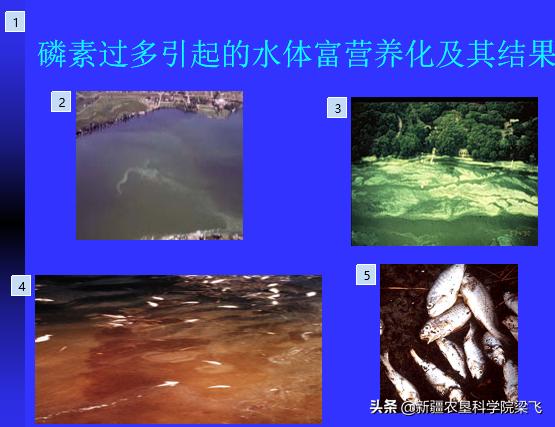 什么能化解土壤里的磷肥,磷肥怎样不板结