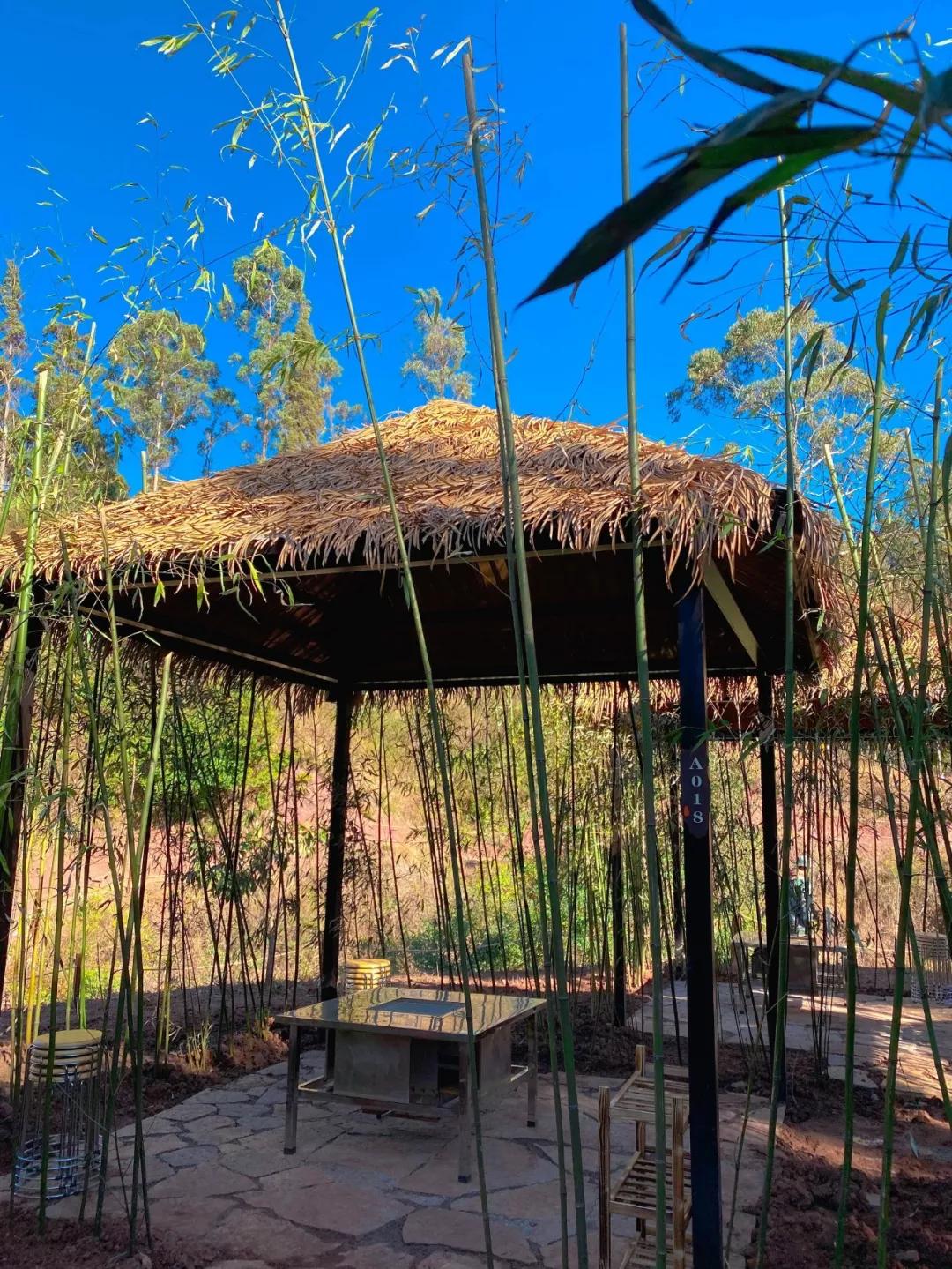 昆明亲子游户外旅行地,昆明周边户外游玩景点推荐带孩子