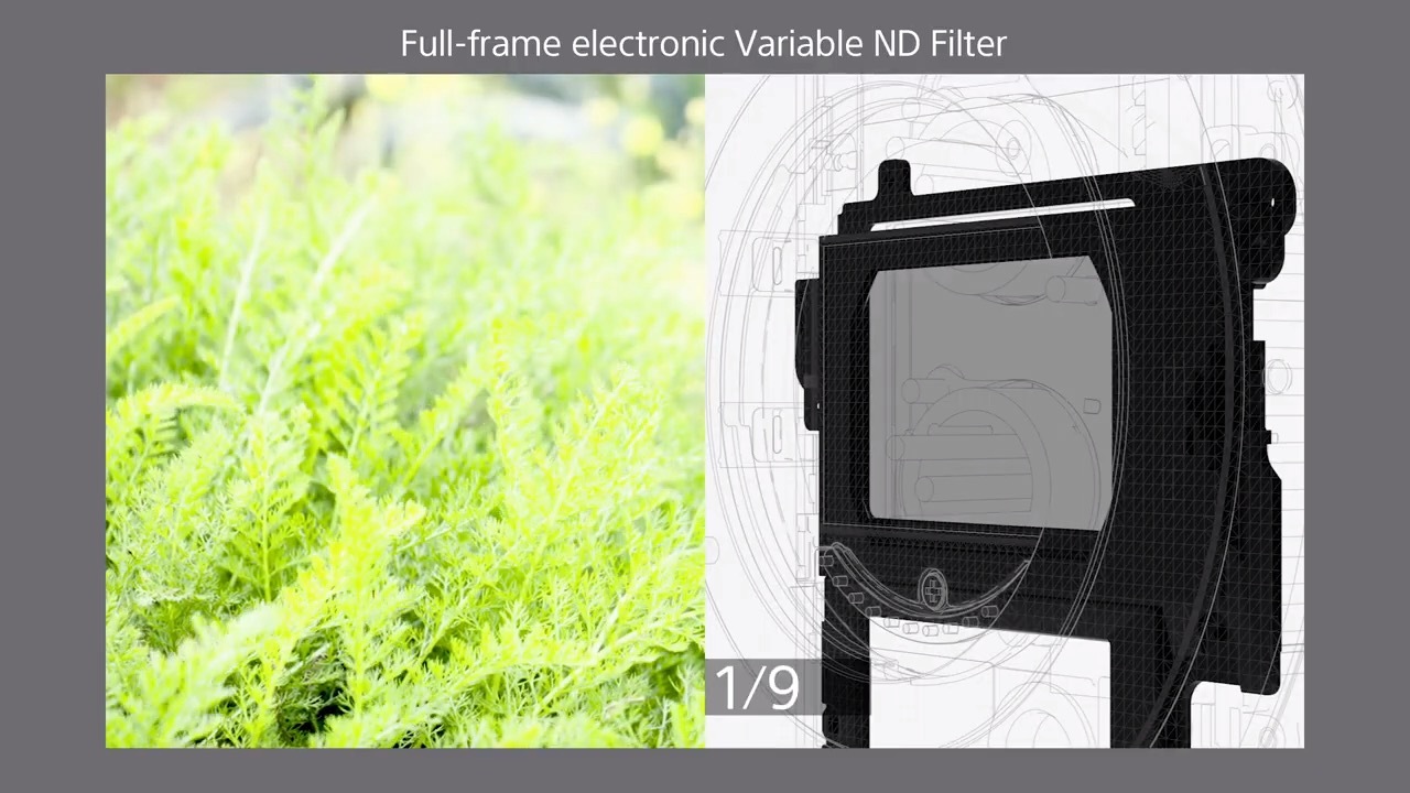 索尼fx6预拍摄,索尼fx6定焦画质