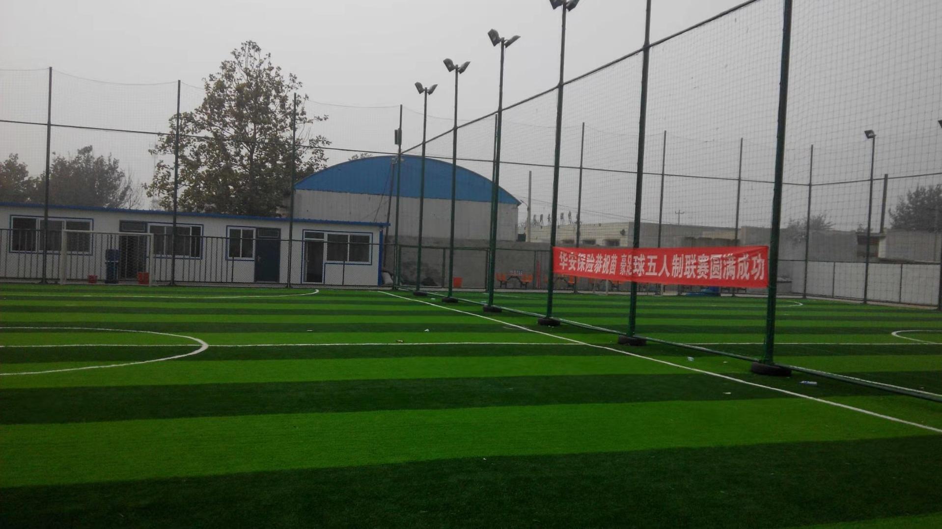 那些年一起做过的足球梦,年轻时的足球梦