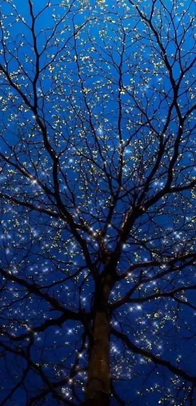 清明梦出体,清明梦出体实录