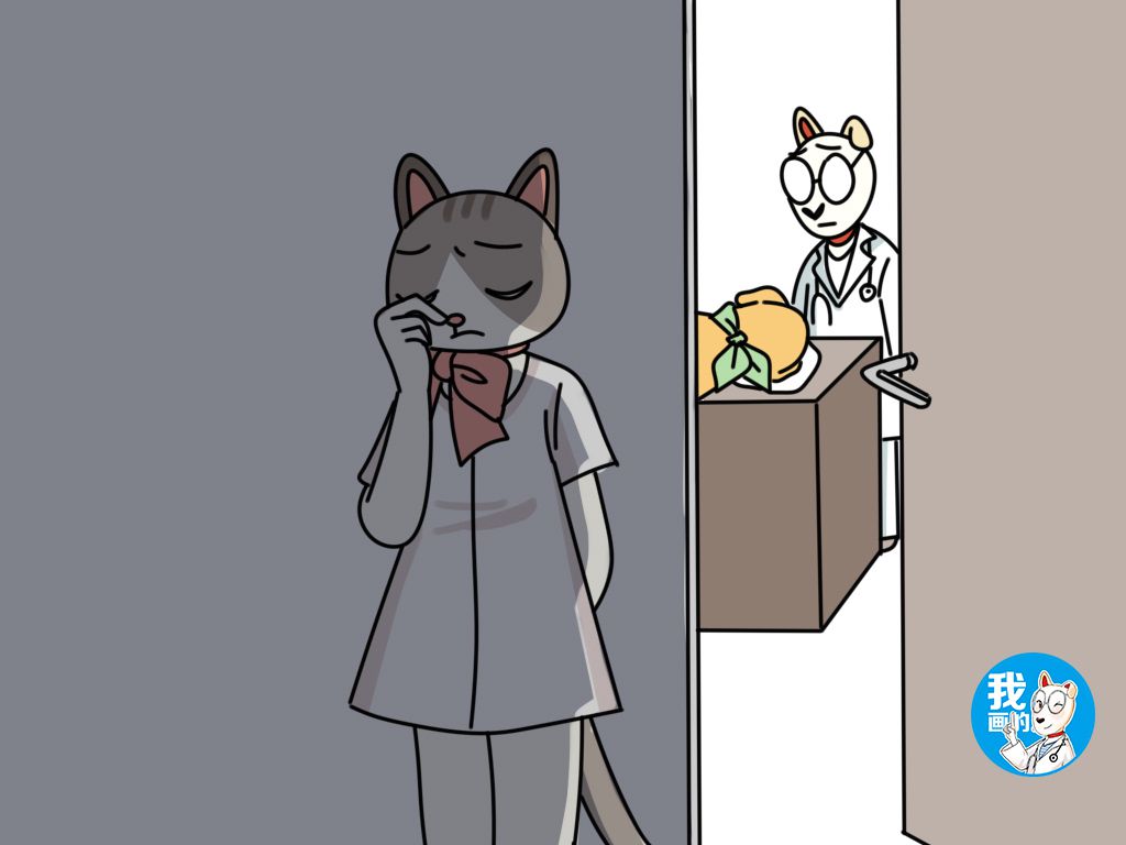 狗狗安乐死反悔了还可以救活吗,狗狗被安乐死后续