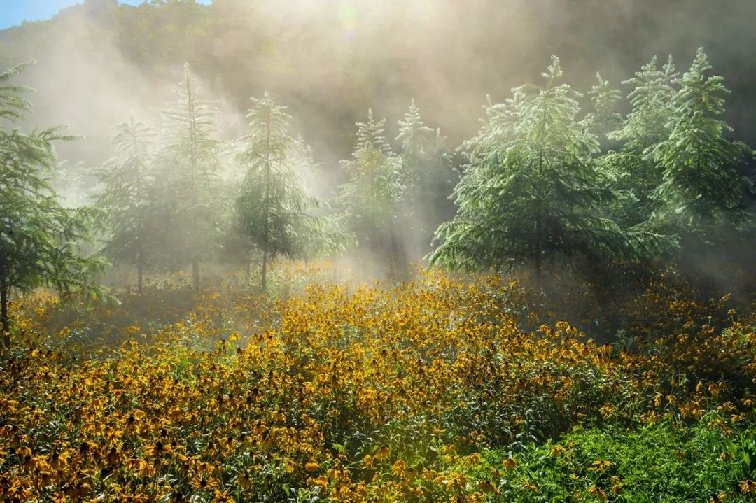 谁是东北第一城,谁才是东北第一城市