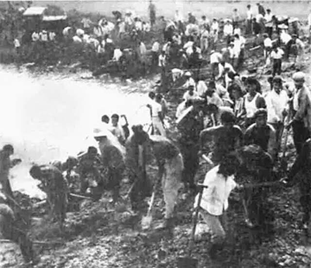 重庆29岁小伙娶53岁老妻,19岁女知青下乡嫁给农村小伙子