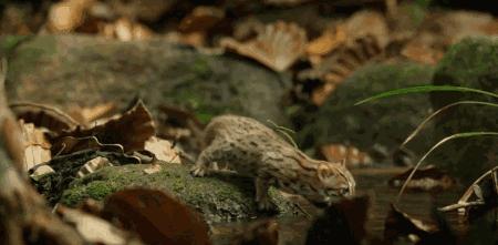 长春家长都领着孩子在干这件事儿，你没做，就落后了！