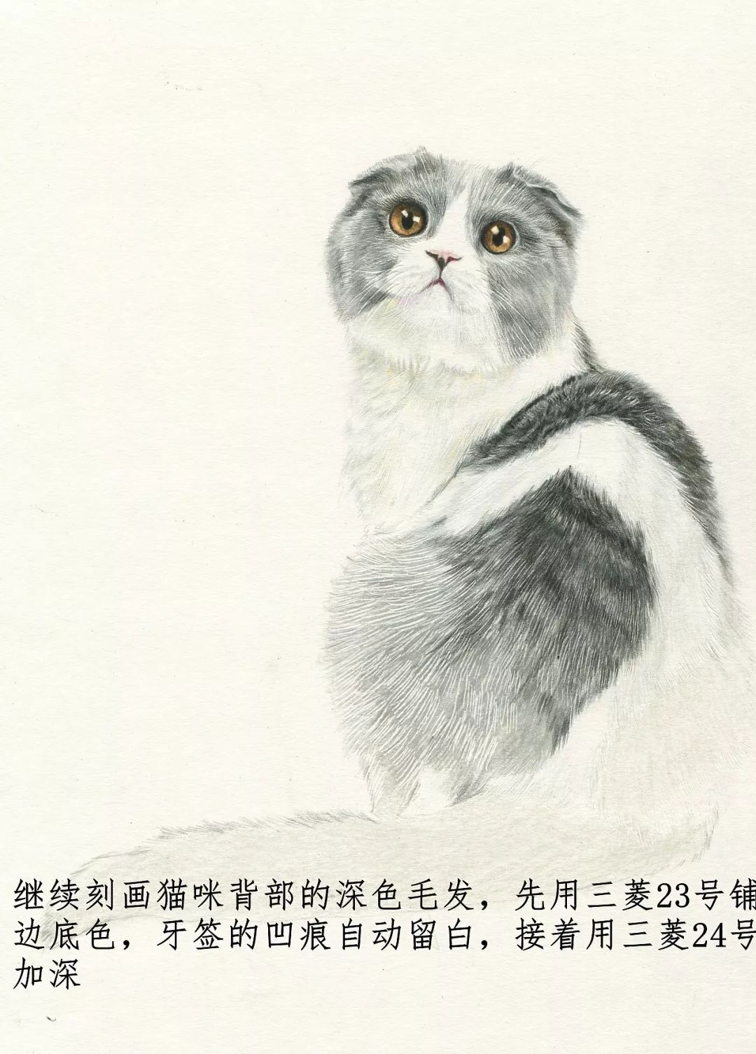 素描动物入门知识,素描动物简单入门教程狗