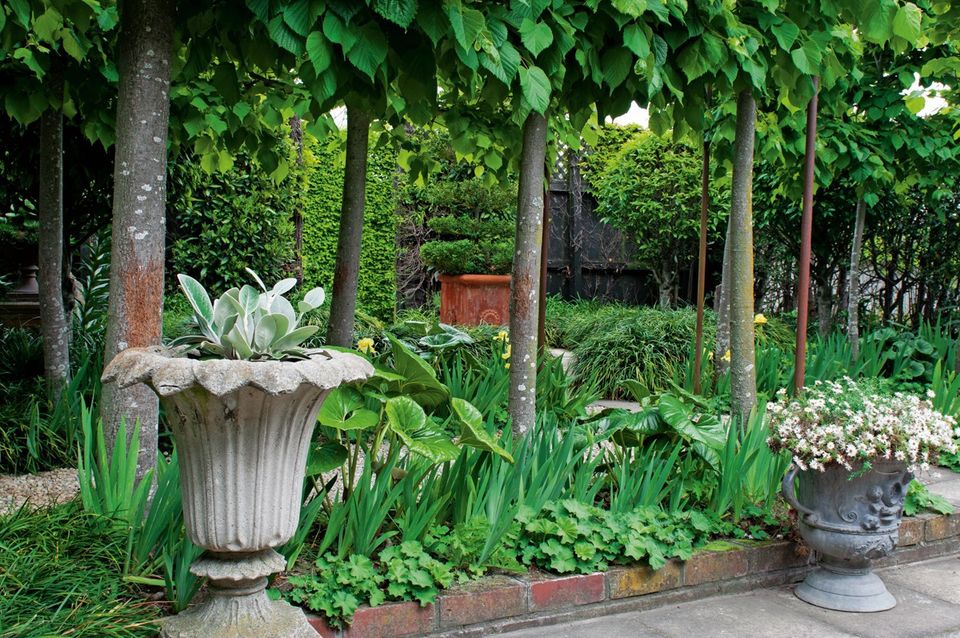 在新西兰奥克兰生活,在新西兰生活的优势