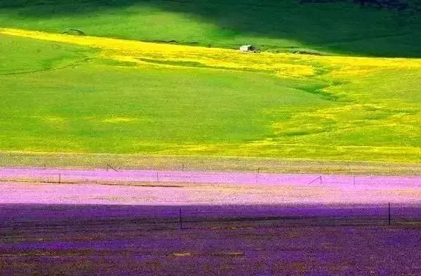 这就是昭苏，万物复苏的地方