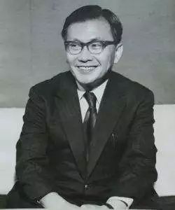 现代数学发展史简介,日本现代发展历程