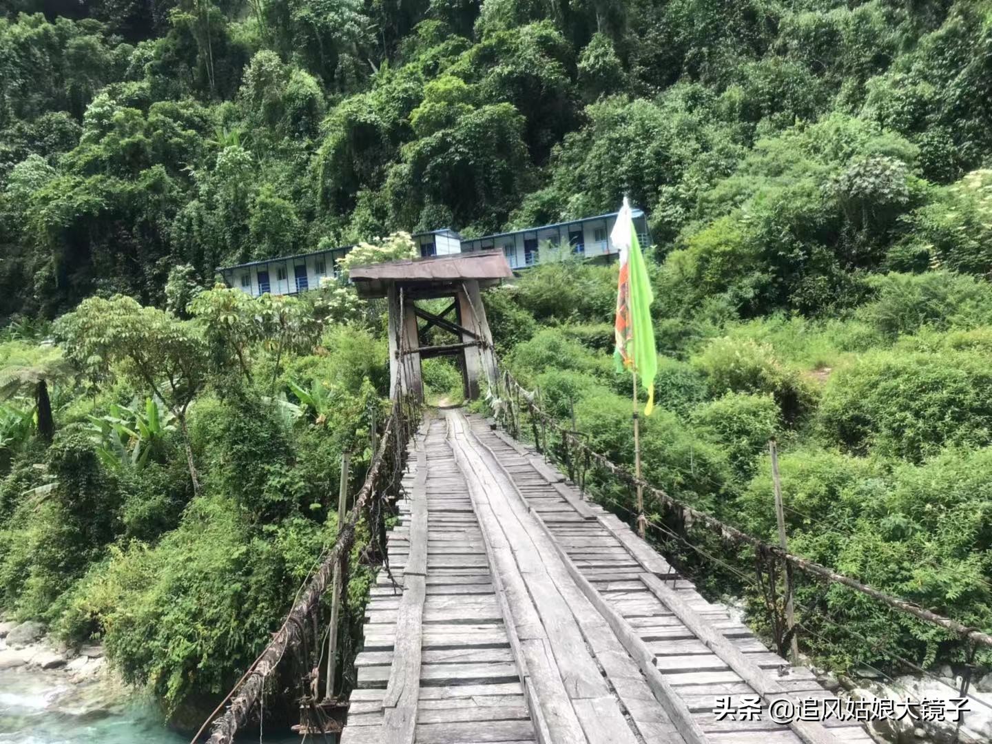 穿越原始的森林,穿越原始森林巨大蜈蚣