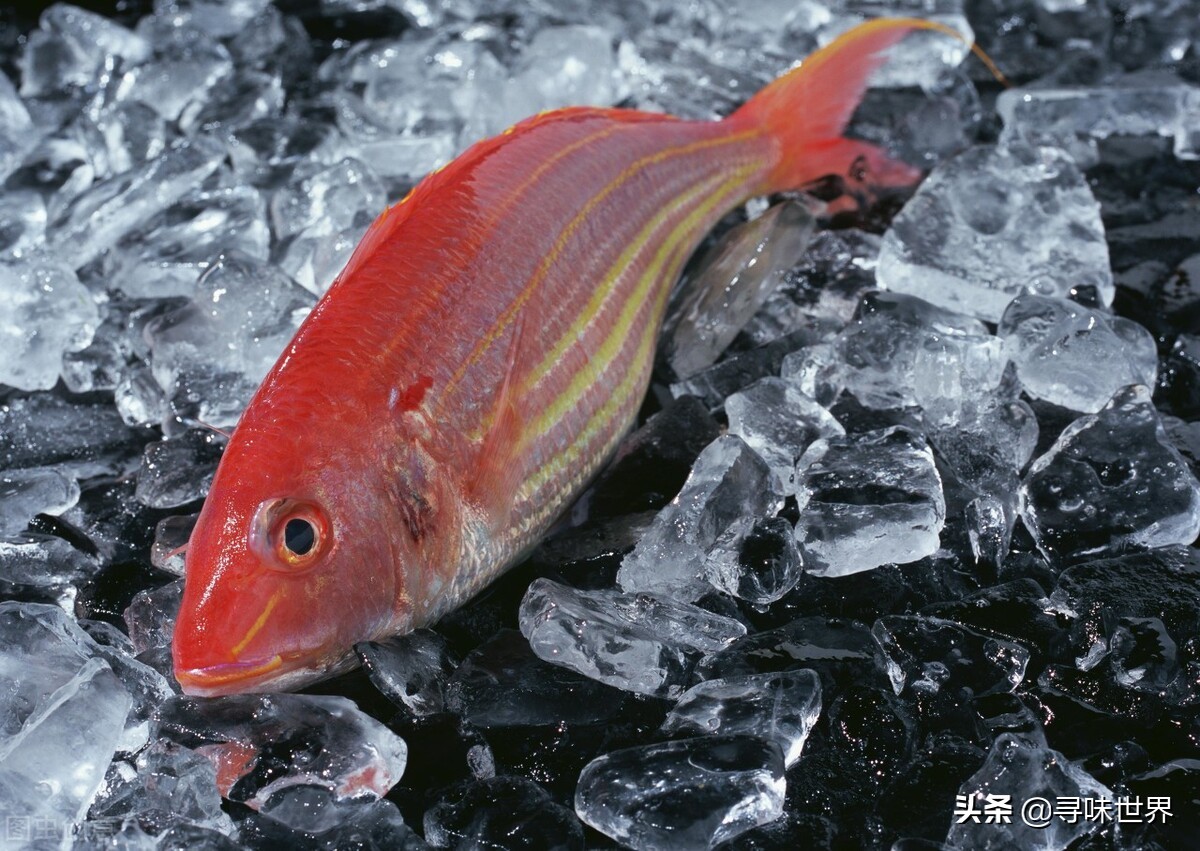 内行人买鱼,买鱼时内行人专买的5种鱼