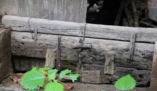 老嫂子直播间,老嫂嫂