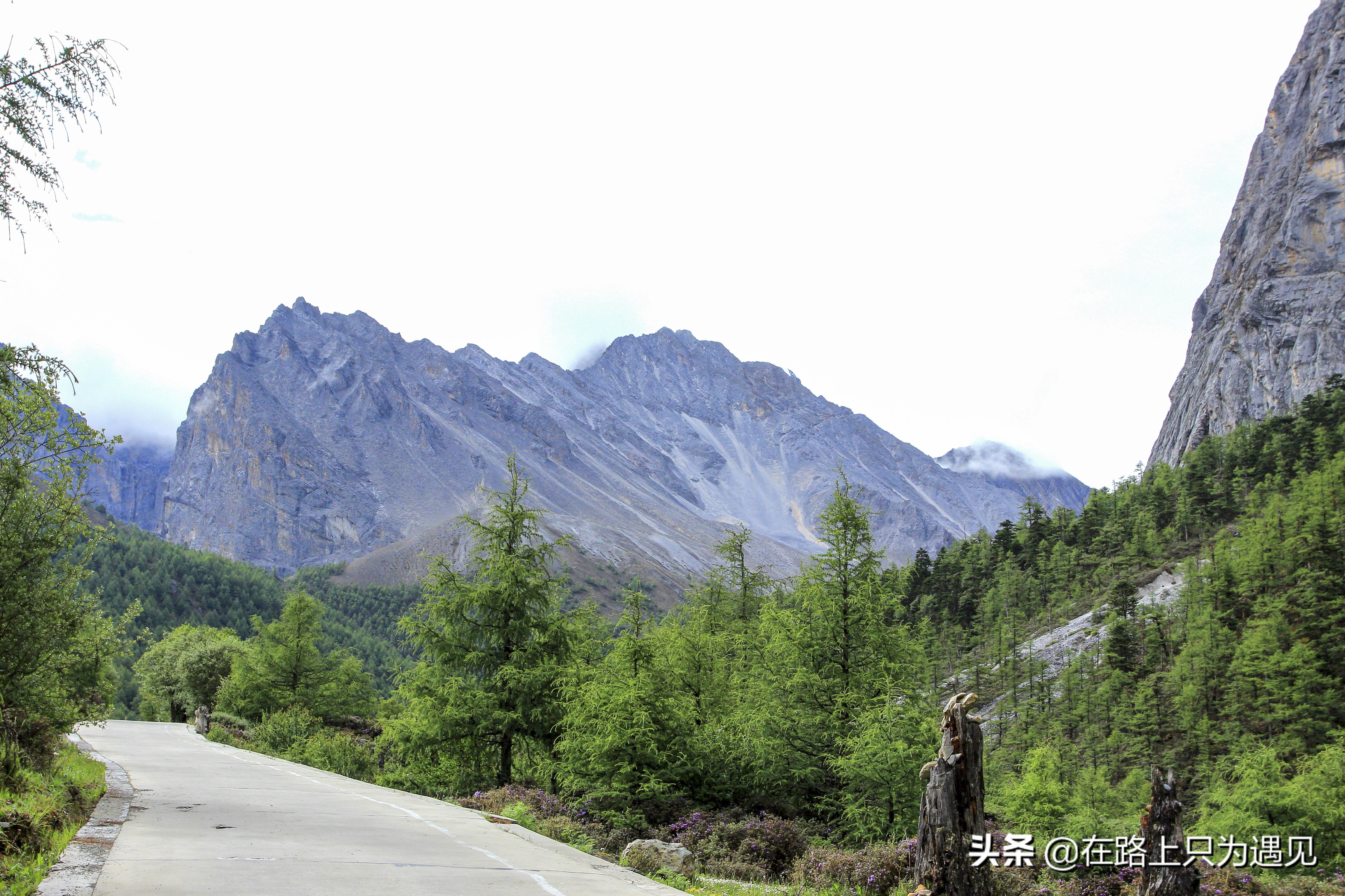 从你的全世界路过稻城亚丁主人公,从你的全世界路过稻城亚丁片段