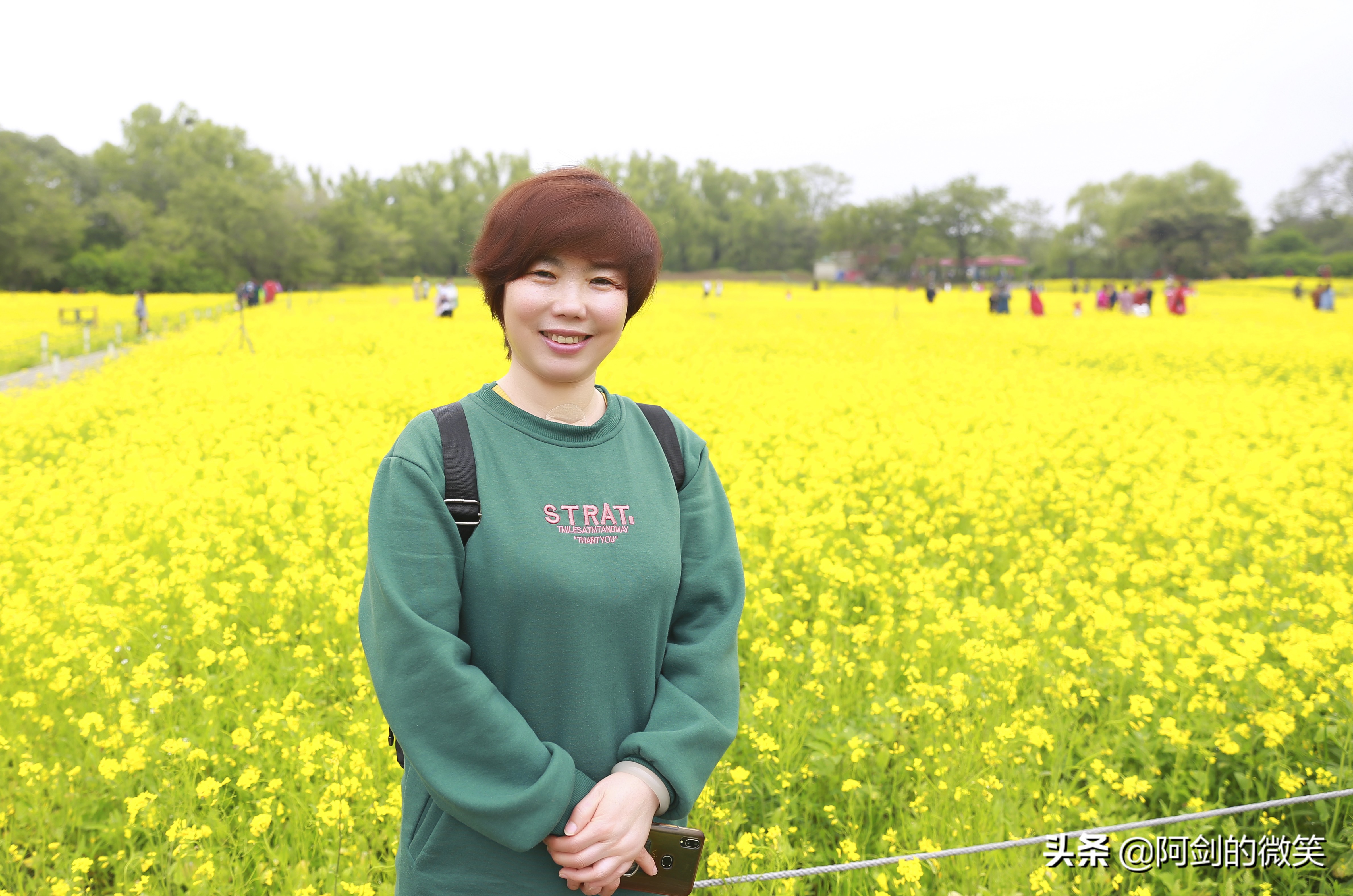 沈阳十一假期哪里有花海,沈阳玫瑰小镇温泉花海两日游