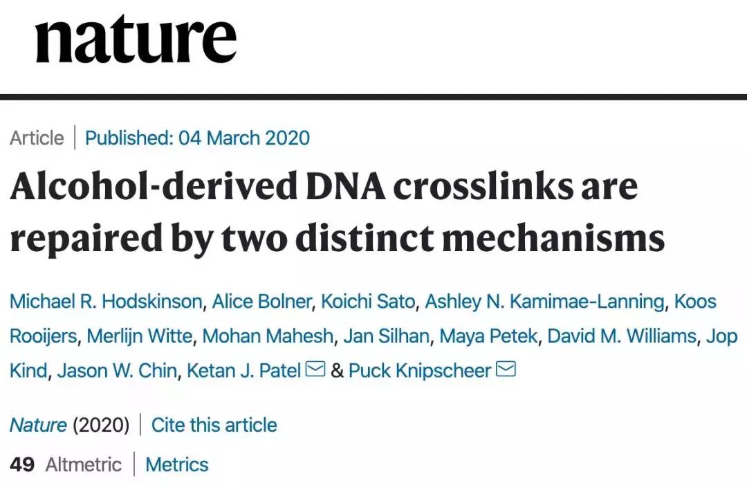 酒精导致的dna损伤,喝酒导致dna损伤