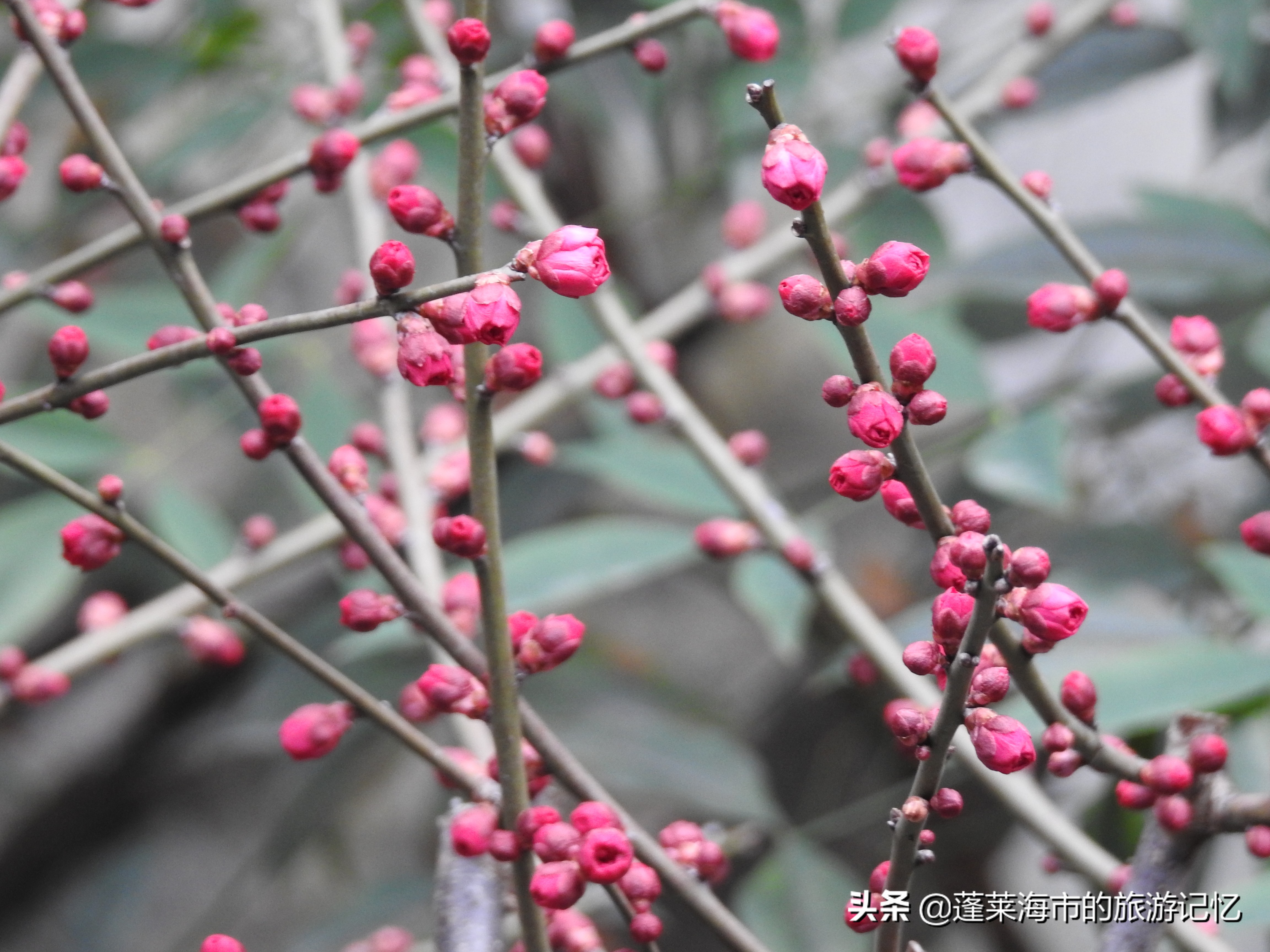 上海豫园点春堂,上海豫园城隍庙