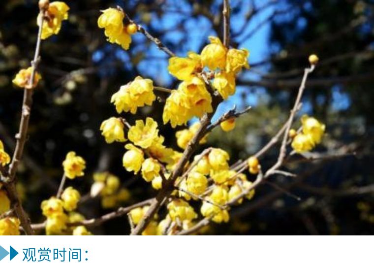 春节三天两晚自由行,假期轻松愉悦的玩耍