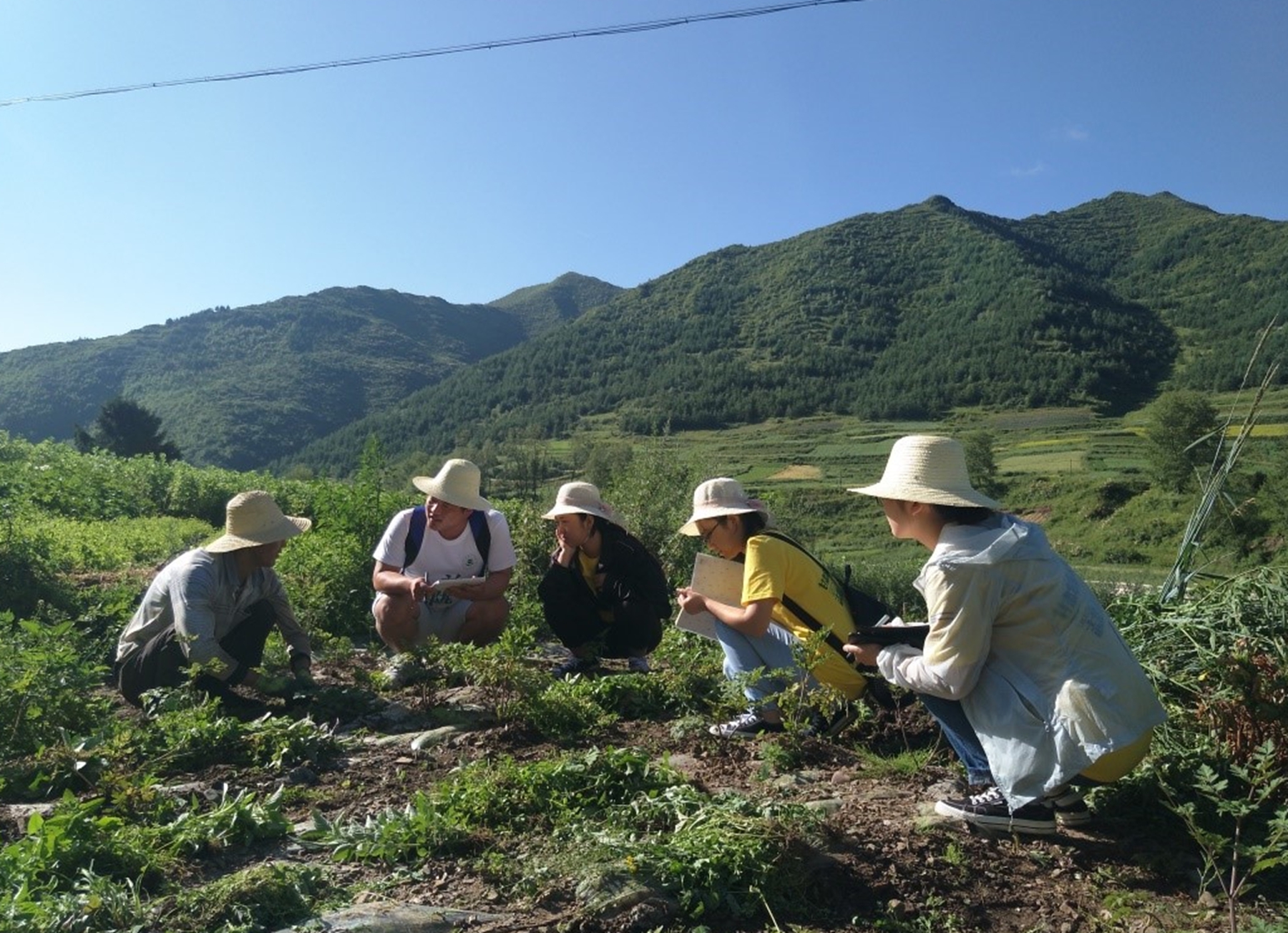 ​又是一条“致负经”，农村大叔被忽悠养娃娃鱼，一夜赔光血汗钱