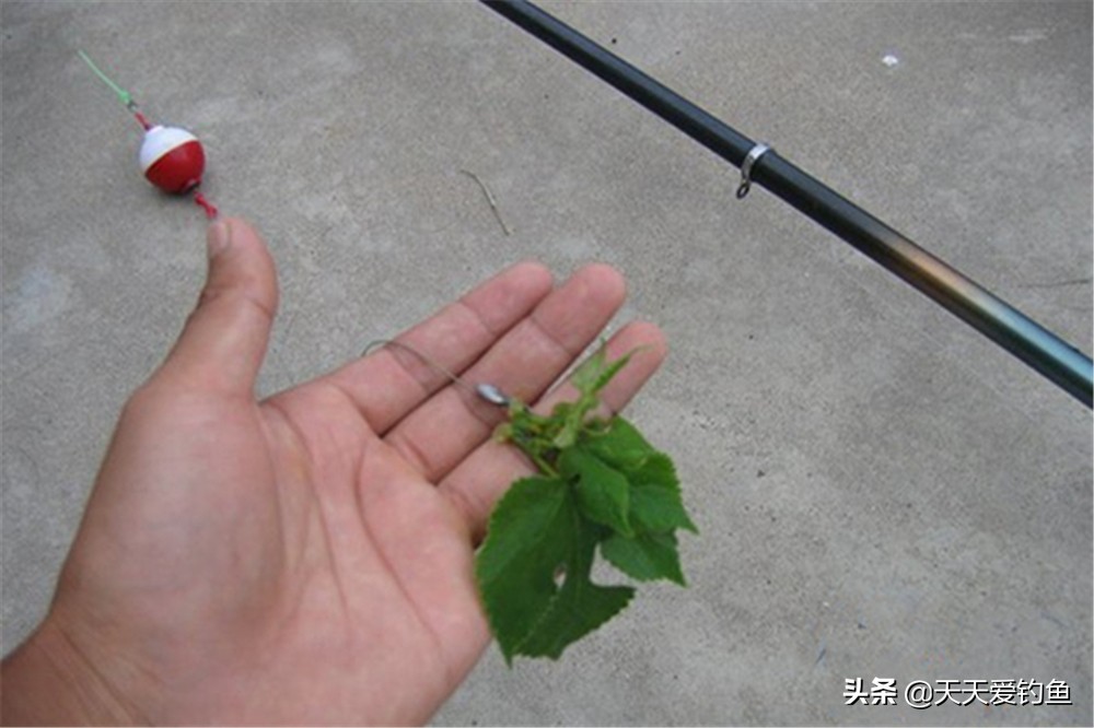 串钩只用来钓底就浪费了，夏季野钓大草鱼，用串钩钓浮最有特色