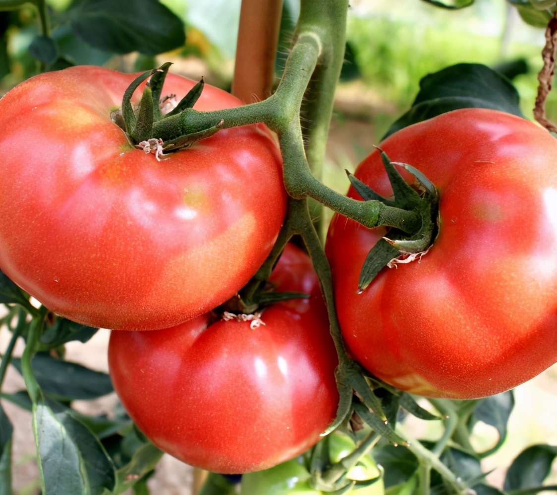 群马县自驾游,群马县深度游