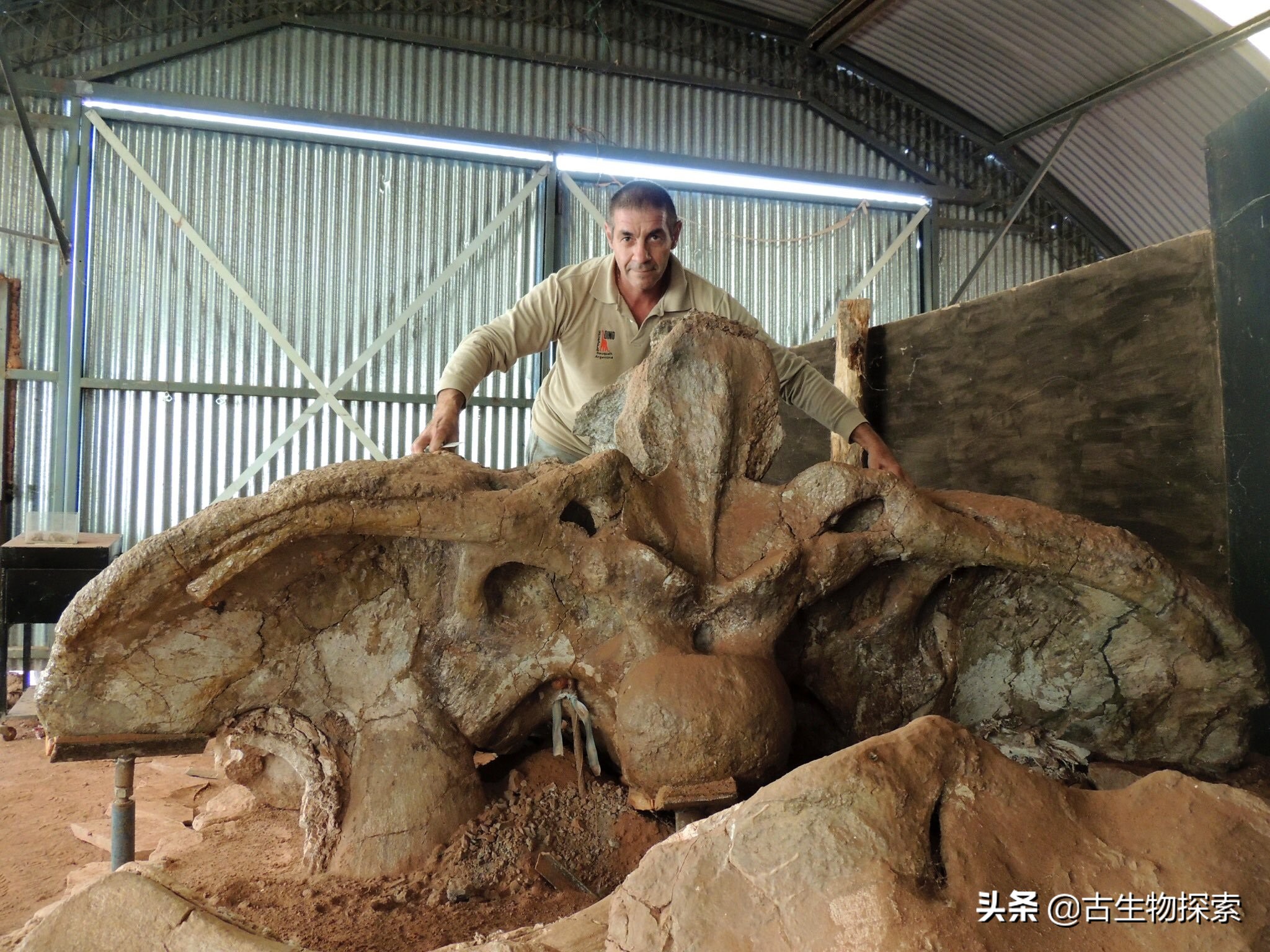 超级巨龙和金牌巨龙,超级巨龙进化