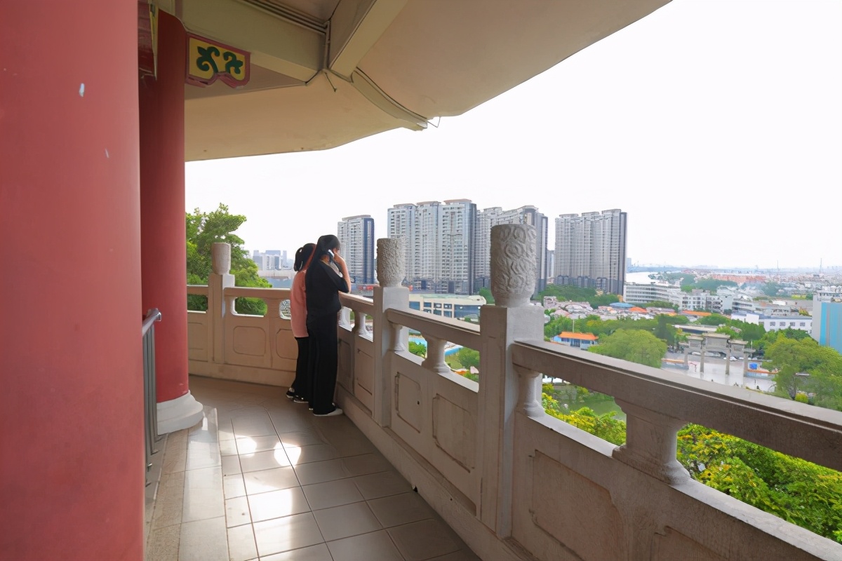 湿地公园菊展在哪,中山菊展一日游