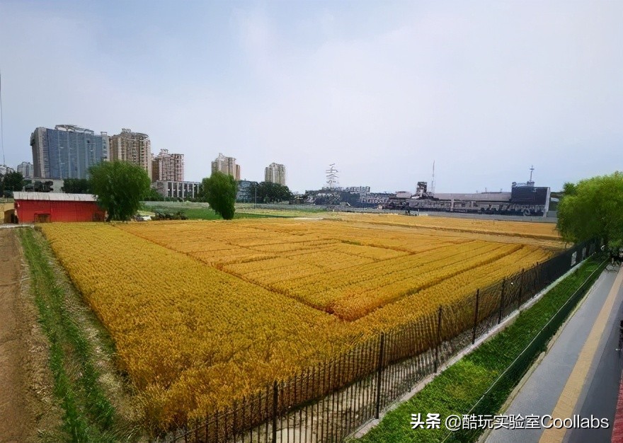 北京三环农田,北京三环麦田房价
