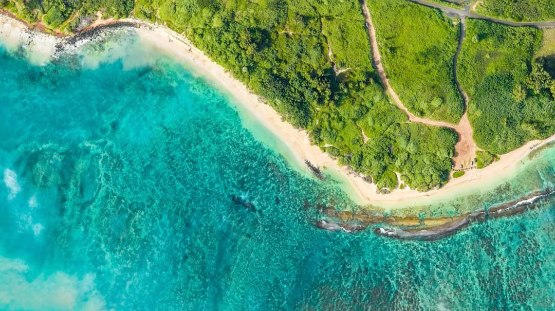 冰川融化陆地减少,第四纪冰川对人类进化