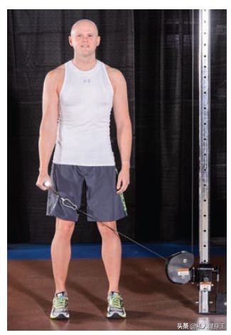 肩部必练动作,五个动作帮你锻炼肩