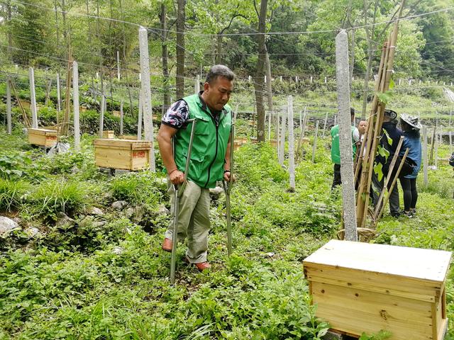 惠水翁金村养蜂场,惠水翁金村
