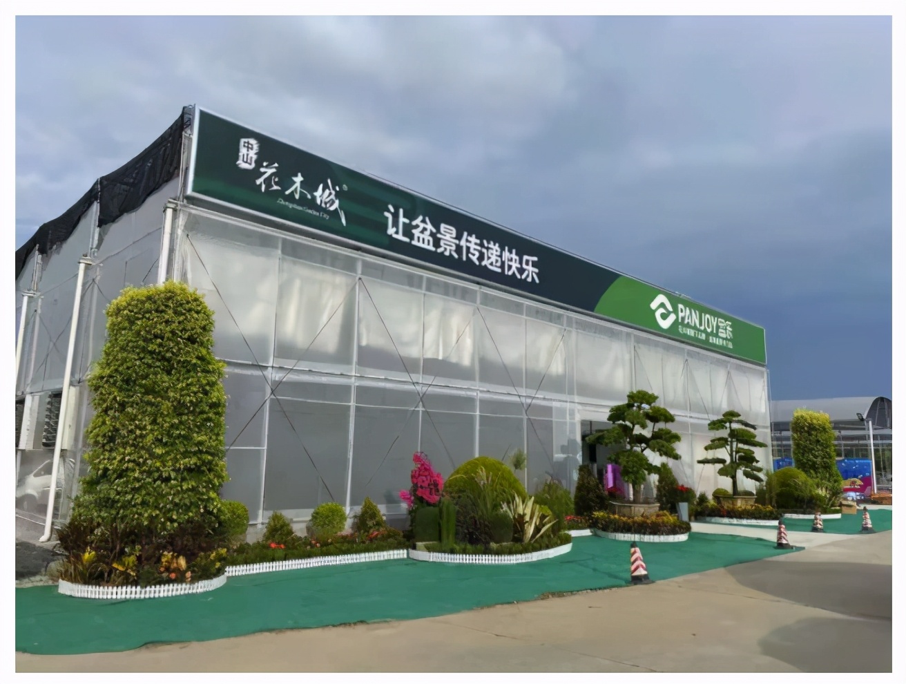 花木城：让盆景走进千家万户，尽显芳华