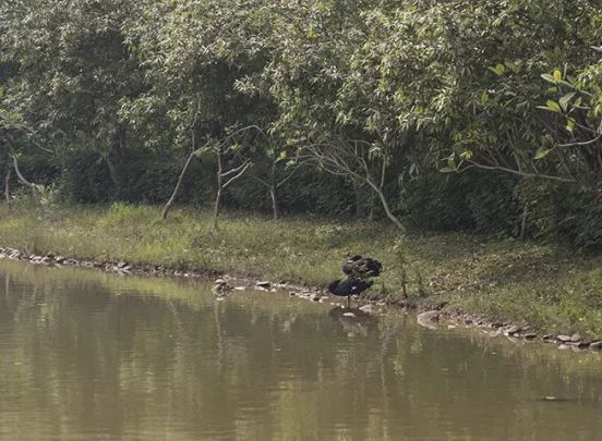 深圳有个建在“空中”的大学，拍照美到爆！