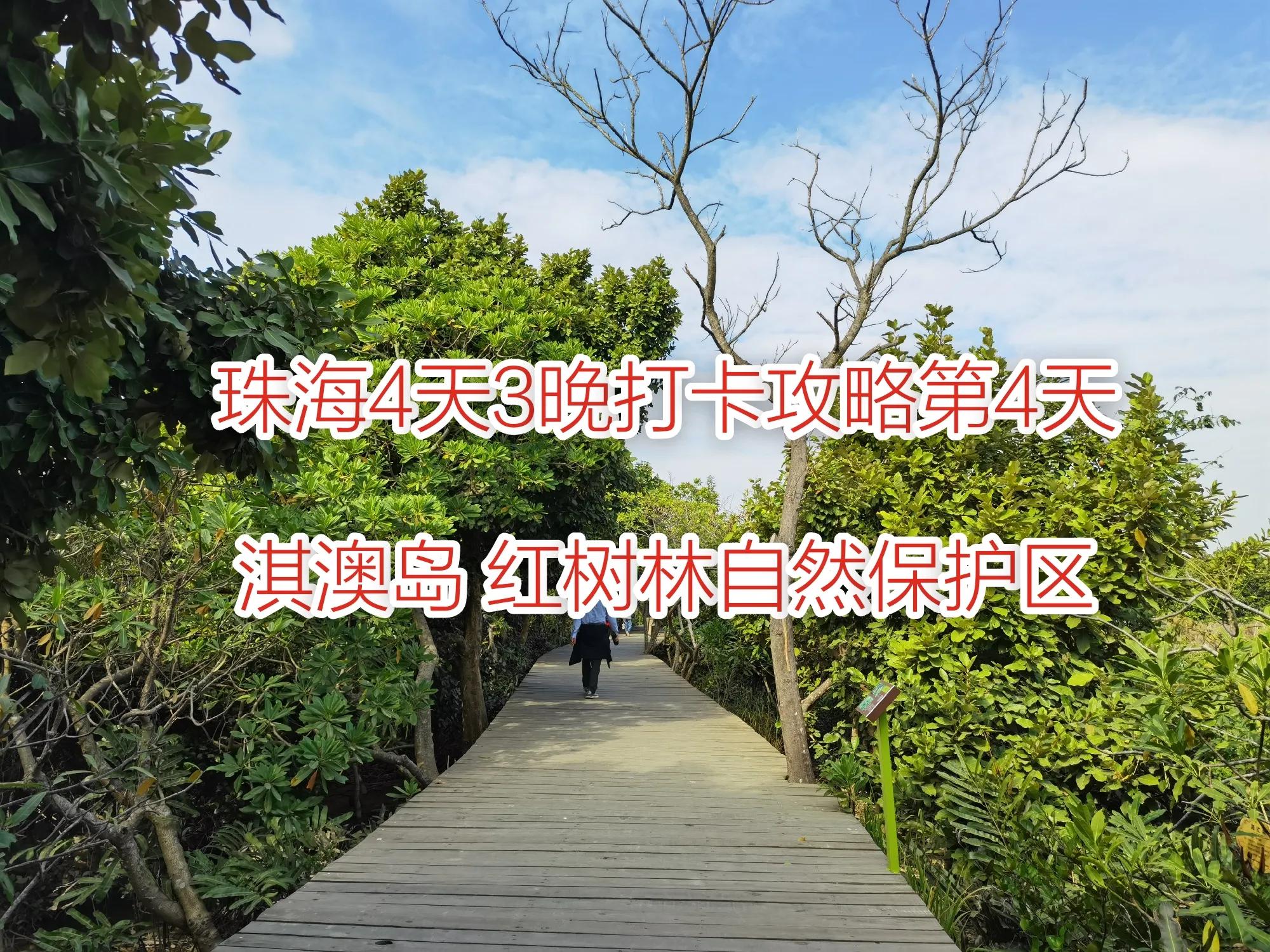 珠海淇澳岛红树林攻略,珠海桂山岛3天二夜的旅游攻略